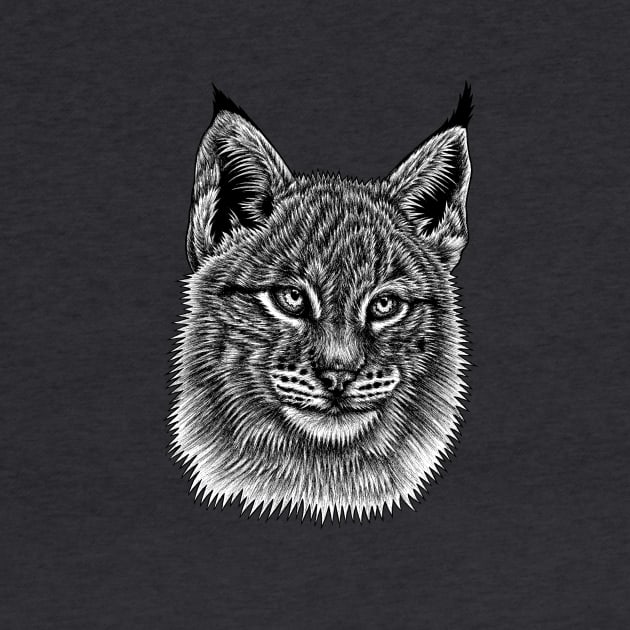 Lynx cat kitten by lorendowding